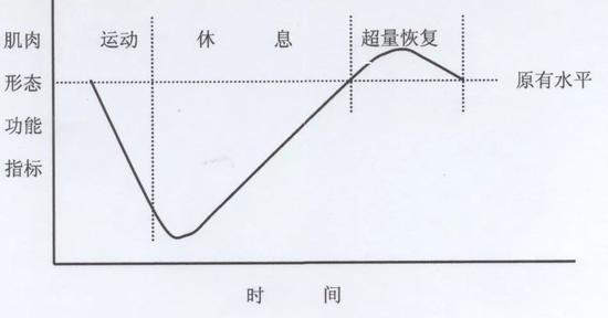 讲堂40秒高强度间歇真的比跑步45分钟效果好