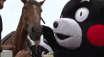 马儿神表情演绎不想上班这回你躺枪了么
