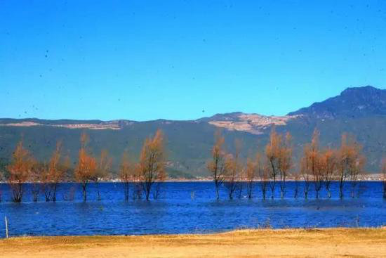 10个性价比最高的极致自驾旅行目的地