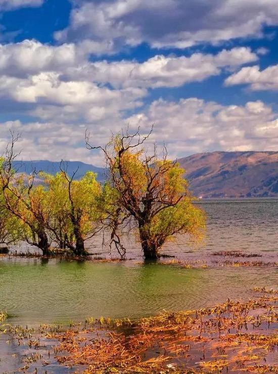 10个性价比最高的极致自驾旅行目的地