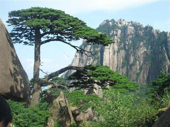 还不自驾去看看？《中国国家地理》都说好