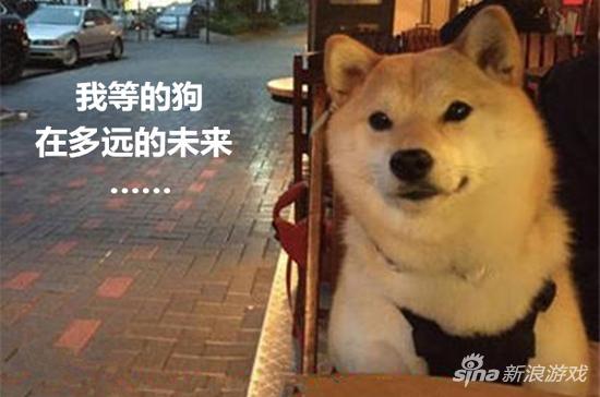 我等的狗在多远的未来