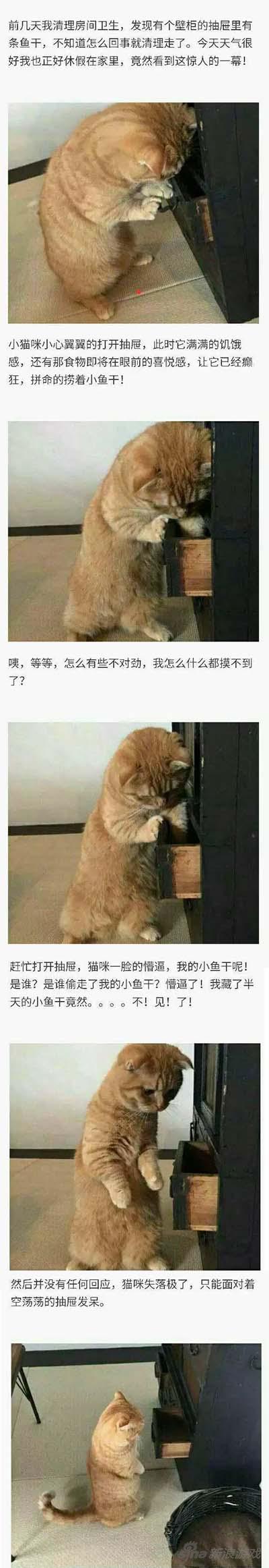 建国后不许成精啊