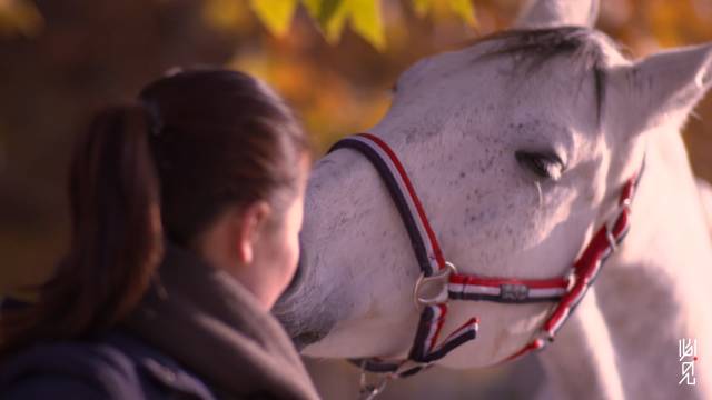 一位马术教练的故事