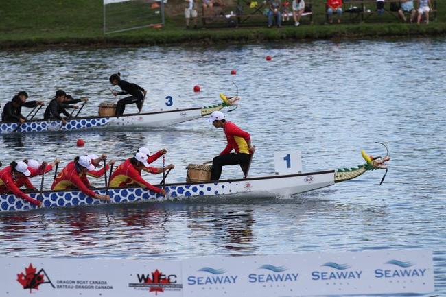 13届世界龙舟锦标赛开赛在即，世界顶级划手齐聚昆明。