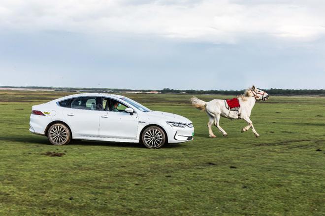 600km续航 电耗12.9kWh/100km 秦PLUS EV亮相北京