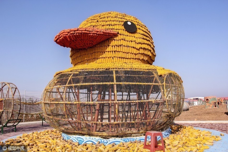 丹东农民用六千穗玉米拼出大黄鸭