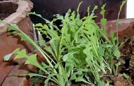 省禁毒办启动【云游辽宁 拍照识毒】主题宣传活动