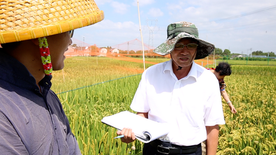江祺祥教授研发培育的糖一手淇糖米已被国家农业农村部登录为特质农品