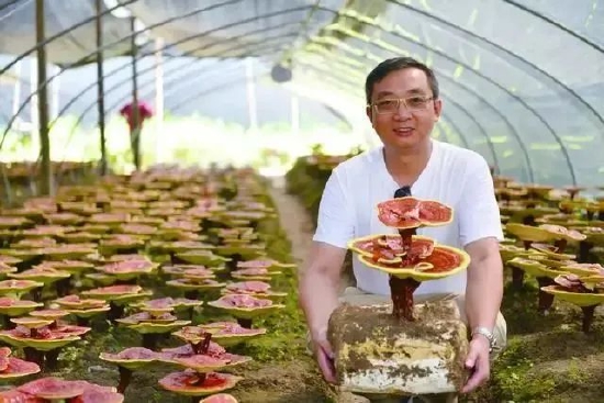 福建仙芝楼生物科技有限公司董事长、全国脱贫攻坚先进个人、入选第四批国家“万人计划”