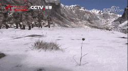 驻守中印边界前线！我军边防军人咬口雪球下咽