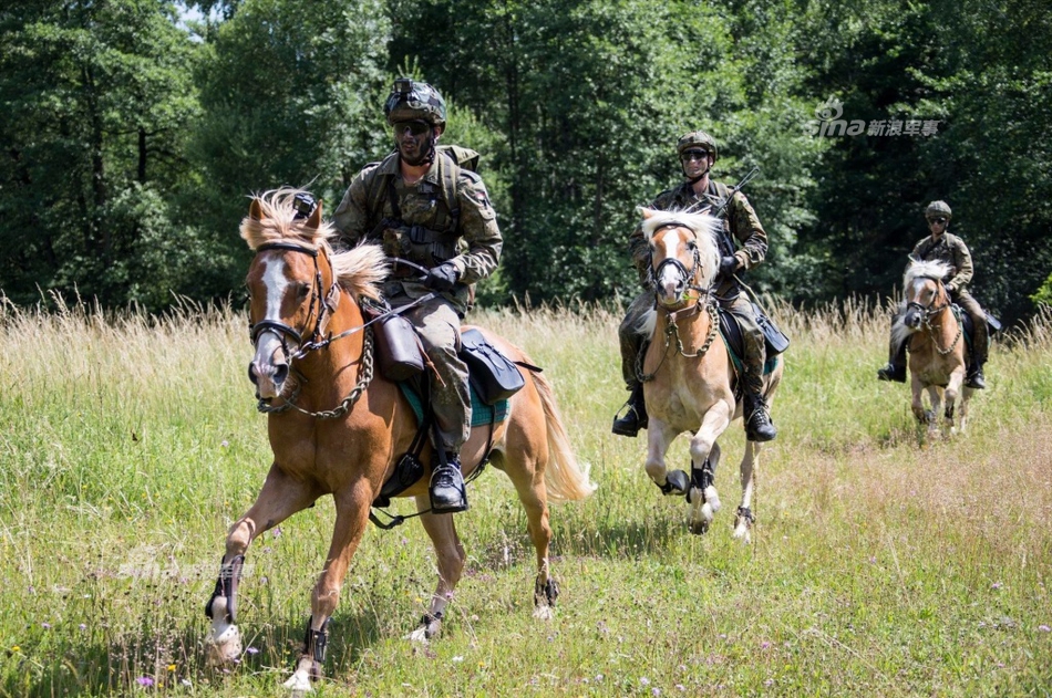 日耳曼骑兵!德国山地部队军人练习骑术