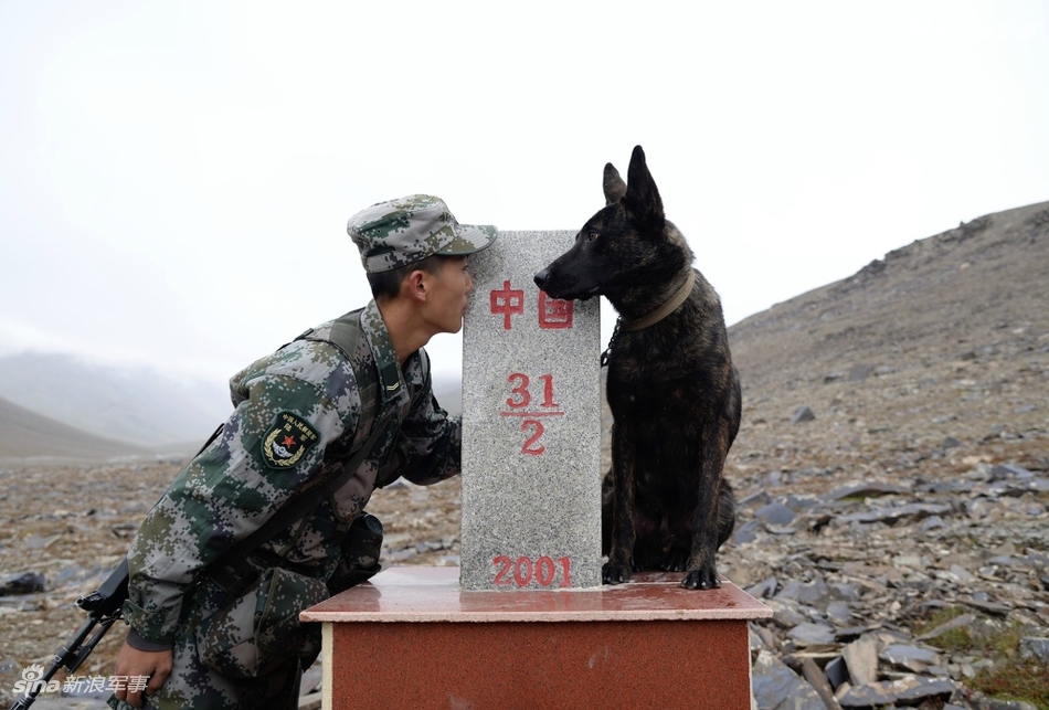 解放军在高原进行边境巡逻:雪山军犬还有吉普