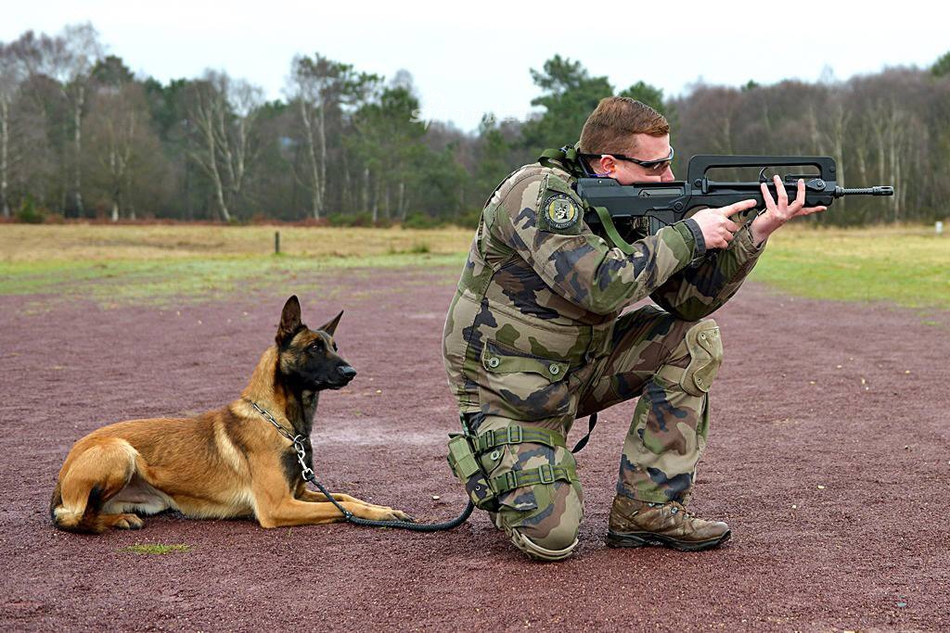 铲屎官打完没啊?法军训犬员射击训练军犬踏实旁观_高清图集_新浪网