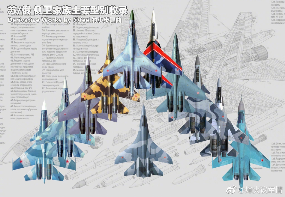 中国版有哪些?来看这些苏/俄侧卫家族主要型号演变_高清图集_新浪网