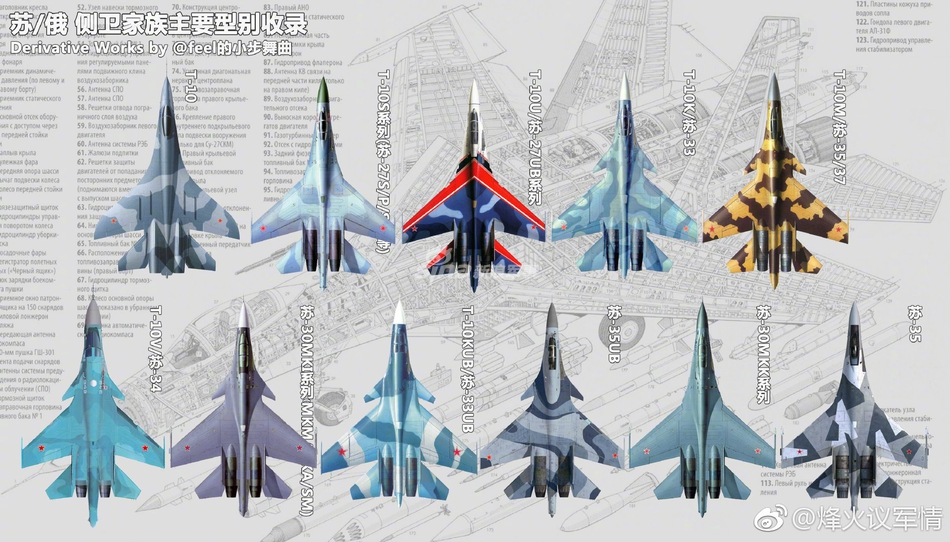 中国版有哪些来看这些苏俄侧卫家族主要型号演变