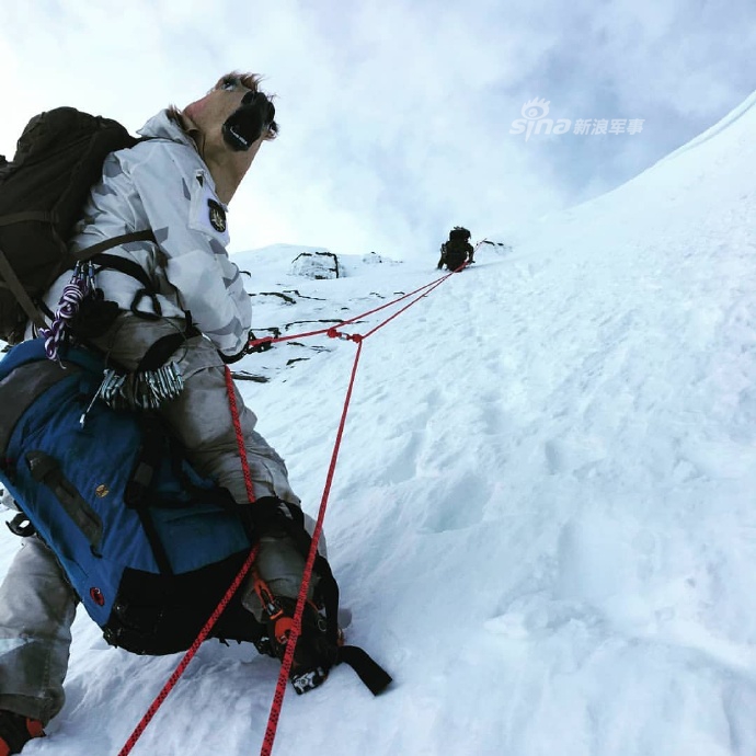 理想战术伪装?瑞典陆军山地猎兵戴马首面具巡逻