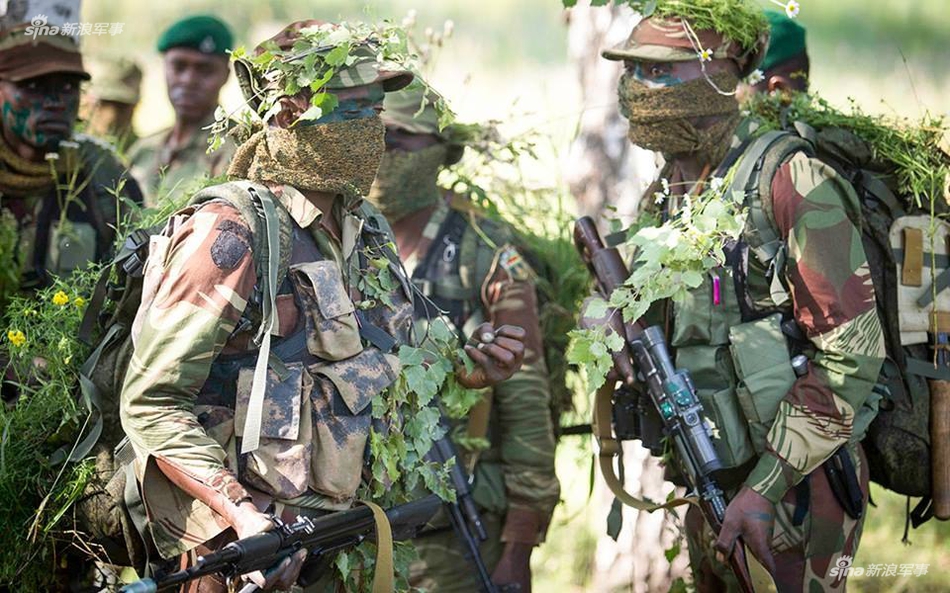 津巴布韦军事力量图片