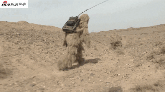 土豪旅装甲洪流！我陆军沙漠迷彩99A坦克亮剑戈壁