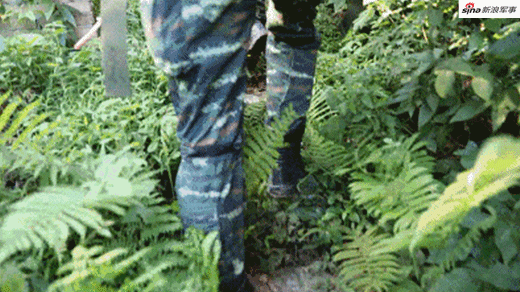 城市巷战多面手！我武警特战大队魔鬼周反恐实训