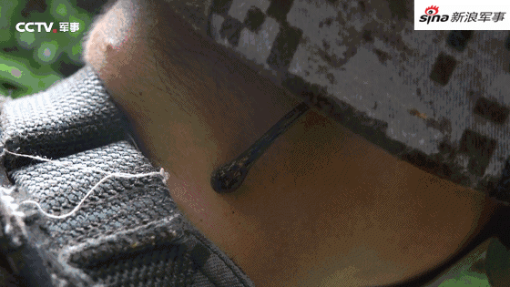 生死置之度外！我边防战士巡逻西藏墨脱爬雪山过沼泽