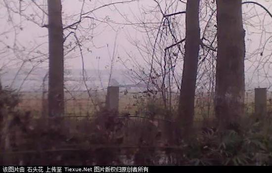 歼-20首飞八周年纪念:举国期盼一声吼 那些感觉