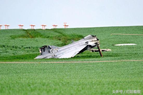 鹰狮趴草坪