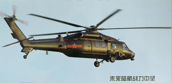 经过深思熟虑，中国没有选择支奴干直升机作为发展方向，单旋翼黑鹰成为榜样