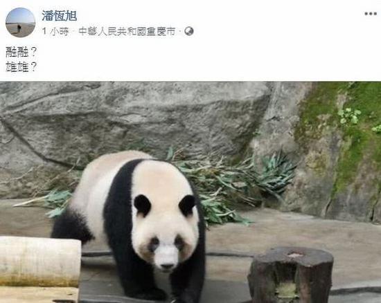 高雄观光局局长潘恒旭发文证实大陆将赠送熊猫给高雄(Facebook截图)