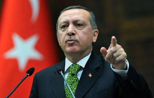 土耳其总统：土俄将在纳卡地区共同监督停火