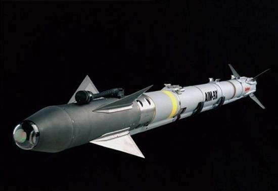 怪蛇3空空导弹 AIM-9L图片