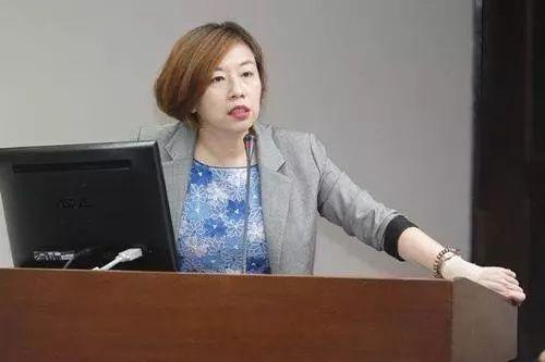 ▲蔡英文竞选办公室说话人林静仪(原料图)