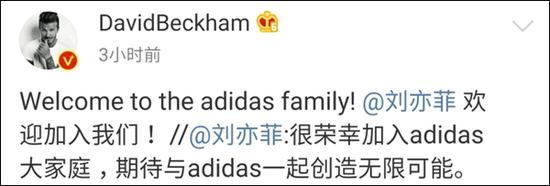 撑警艺人刘亦菲成新代言人 Adidas香港旗舰店遭打