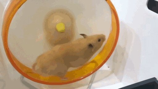 中国提供法国20亿口罩后 法媒竟妄称中国撒谎7