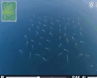 ▲编队形成军民及航母图样