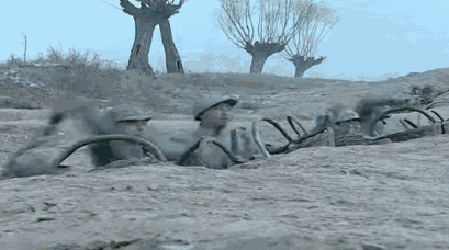 影视剧中的手榴弹