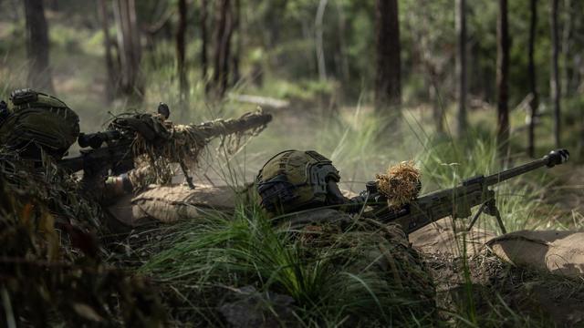 澳大利亚陆军丛林战演练