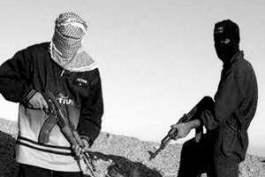 为什么这么多恐怖分子是兄弟？