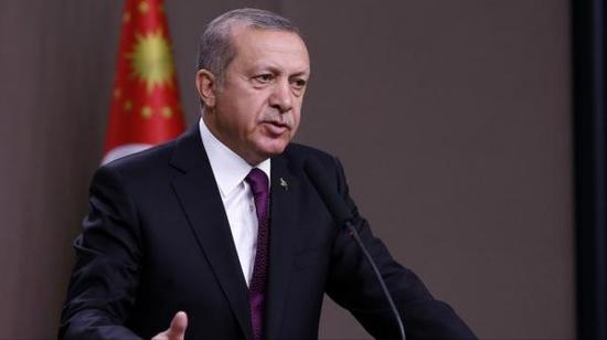 土耳其总统拒改本国反恐法 反称欧盟庇护恐怖组织