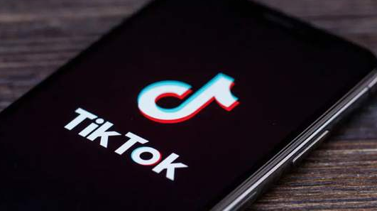 抖音海外版TikTok遭印度封杀 软件被隐藏但仍可下