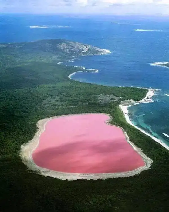 达喀尔郊区浪漫的粉色盐湖——玫瑰湖