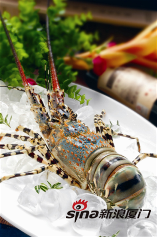 厦门现超有面子海鲜餐厅 吃遍全球厉害海鲜_新浪闽南_新浪网