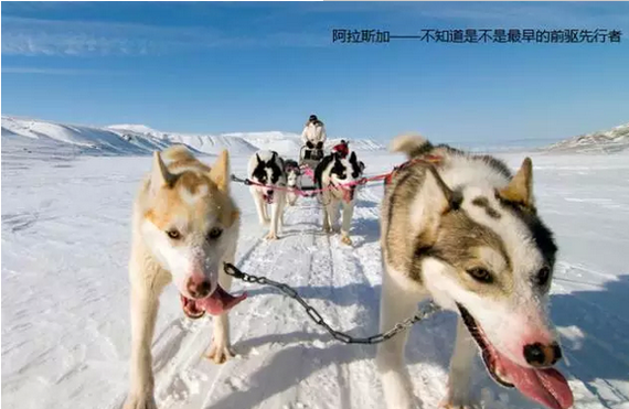 车子要前驱、后驱还是四驱？看完你就懂了