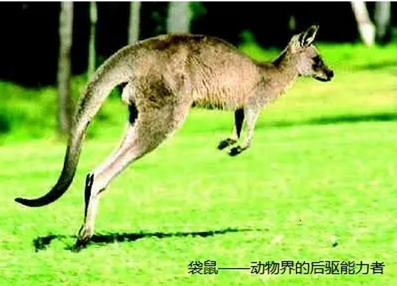 车子要前驱、后驱还是四驱？看完你就懂了