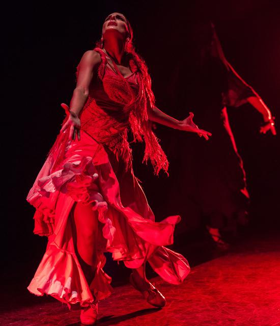 经典弗拉门戈舞剧《卡门》 1月7日盛世经典再现鹭岛