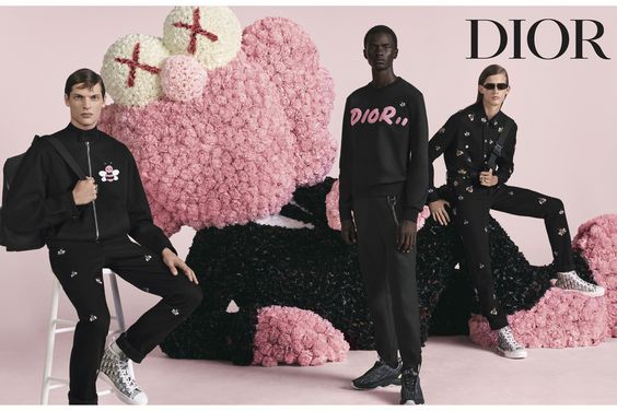 dior X KAWS