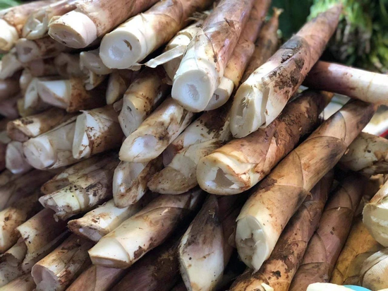 宁波本地雷笋到了最佳品尝季 价格实惠且又嫩又脆