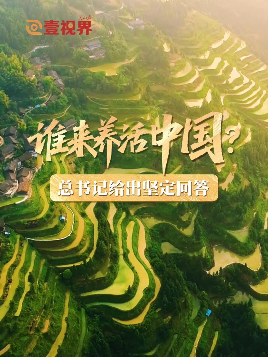 壹视界·微视频｜谁来养活中国？总书记给出坚定回答