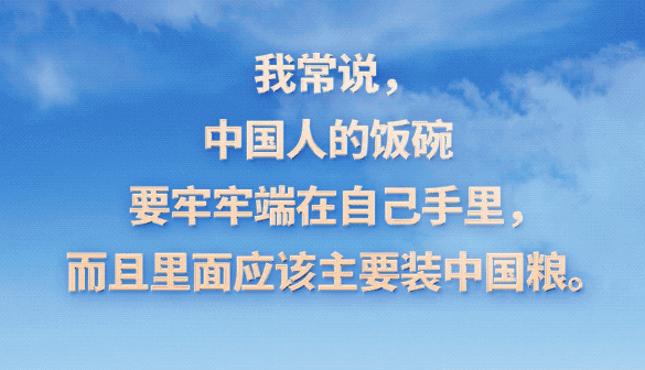 习言道｜粮食安全是战略问题