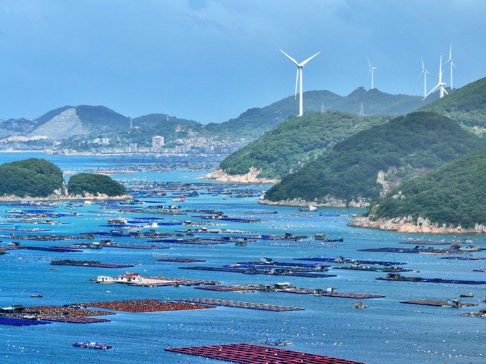 莫迪,华盛顿,俄罗斯,印度政府,唐纳·川普,美国总统拜登,唐纳德·特朗普
